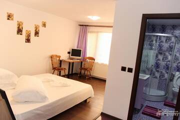Фото номера Двухместный номер с 1 кроватью и балконом Фермерские дома Pensiunea GuestHouse г. Stăneşti 7